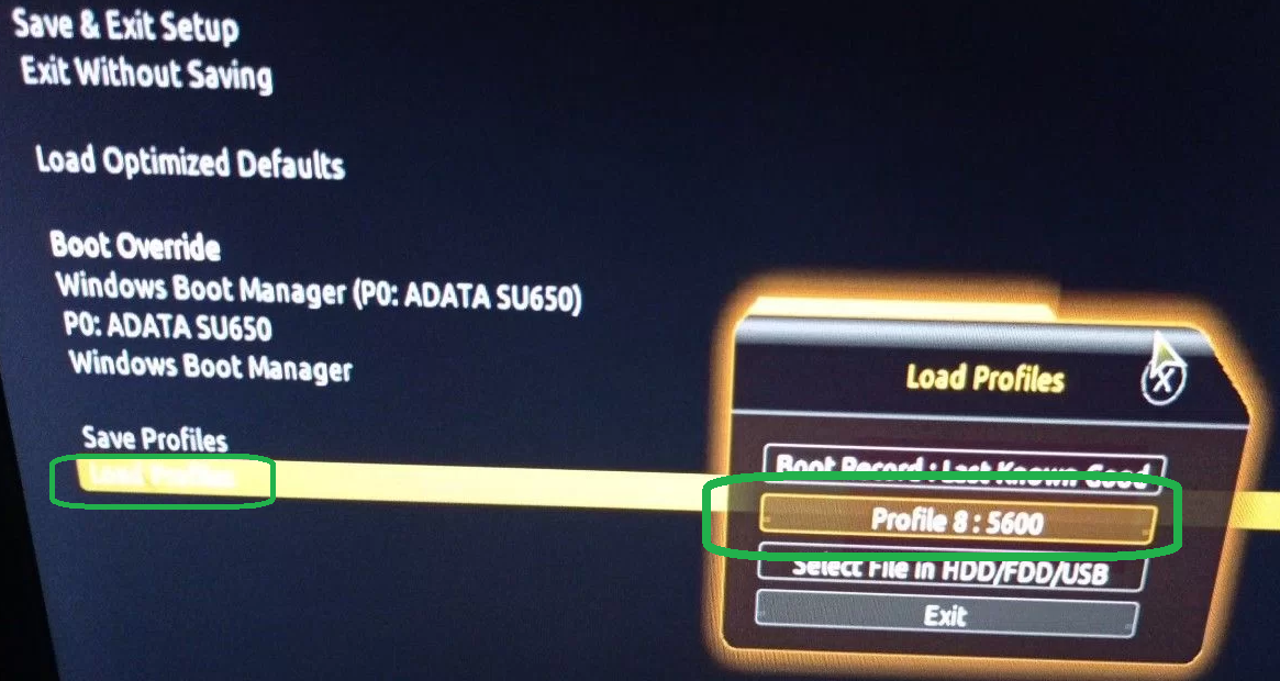 GIGABYTE_B550M_DS3H_profiles